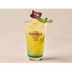 トロピカル木ノ葉ソーダ