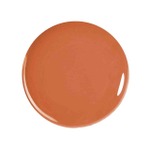 ヨコハマ・ディビジョン[BL]