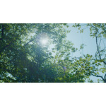 「スペシャリストと走ろう 宮野真守」篇