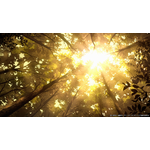 TVアニメ『ワールド イズ ダンシング』PV場面カット