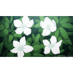 TVアニメ『ワールド イズ ダンシング』PV場面カット