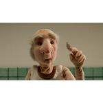 「TAAF2026」コンペ短編ノミネート マーマレーション