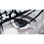 テレビアニメ『日本三國』　第1弾予告映像