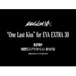 「EVANGELION:30+； 30th ANNIVERSARY OF EVANGELION」