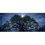 「クスノキの番人」新規場面写真