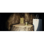 「クスノキの番人」新規場面写真