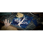 「クスノキの番人」新規場面写真