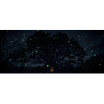 「クスノキの番人」新規場面写真