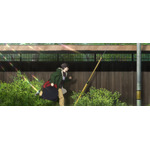 「クスノキの番人」新規場面写真