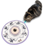 キャッチ・ミー・イフ・ユー・キャン 2：4,500 円