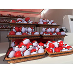 モンスターボールの中にはポケモンのピンバッジ（全151種）