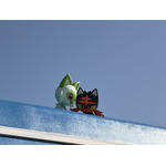 屋根の上にいるのは、ニャオハとニャビーでした