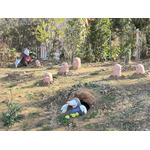 「ディグダもくどう」