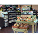 お出迎えディスプレイ