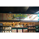 自然光が入る店内