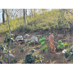 【潜入レポ】「ポケパーク カントー」オープン！チケット販売からアトラクション、グッズ＆グルメまで。楽しみ方、全部見せます！押さえるべきポイント＆攻略法まとめ