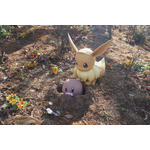 「ピカチュウとイーブイのもり」