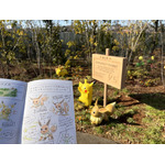 「研究ノート」