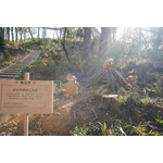 「ビッパのかじりば」