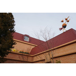 「カヤツリタウン」の至る所にポケモンがいます