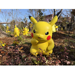 ピカチュウは怒った顔が一番カワイイ