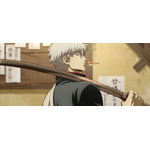 「新劇場版 銀魂 -吉原大炎上-」MVカット