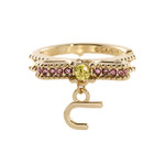 名探偵コナン アイコニック ストーリー リングオブジェ