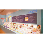 「ガチャガチャ展 in 六本木」会場の様子