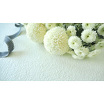 声優・池田勝さん 心不全で死去 83歳 「ヤッターマン」「サクラ大戦」などに出演 画像