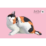 三毛：サイズ（H38×W55mm）