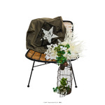 GRAPHIC COACH JACKET『CLOVER』