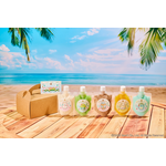 「すみっコぐらし×アロハテーブル」すみっコスムージージェラート（5種セット／イメージ）