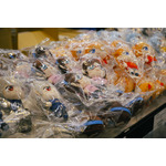 「EVA EXTRA 30」展示エリア＆出展ブース