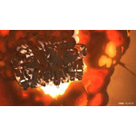 『機動戦士ガンダム 閃光のハサウェイ キルケーの魔女』場面写真