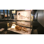 「攻殻機動隊展 Ghost and the Shell」場内の様子