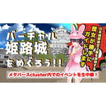 投稿主の企画するメタバースを活用した姫路城のバーチャル観光／投稿主提供