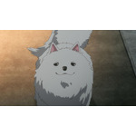 TVアニメ『ゆるキャン△ SEASON4』特報カット（C）あfろ・芳文社／野外活動ベース