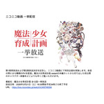 「魔法少女育成計画 全12話一挙放送」