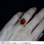 【シルバーモデル】限定410点