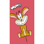 『トムとジェリー』×ハーゲンダッツ WEB CM