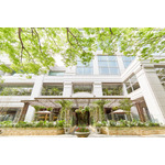 ザ ストリングス 表参道