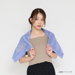 「機動戦士ガンダム　シャアのタオルセット」