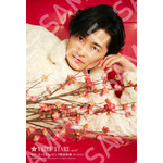 「TVガイドVOICE STARS」vol.37