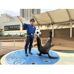 「名探偵コナン　風駆ける天空都市」サンシャイン水族館でイベント期間限定アシカパフォーマンスを実施