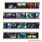 PSYCHO-PASS PROVIDENCE×Greeful　クリアロールステッカー