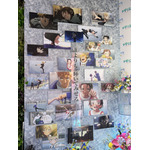 「AnimeJapan 2026」KADOKAWAブースの様子