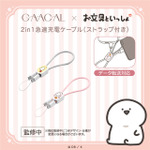 2in1急速充電ケーブル（Type-C）（２種類）