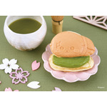 ラッコ（抹茶）