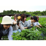 農園リゾートTHE FARM