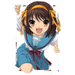 TVアニメ『涼宮ハルヒの憂鬱』再放送